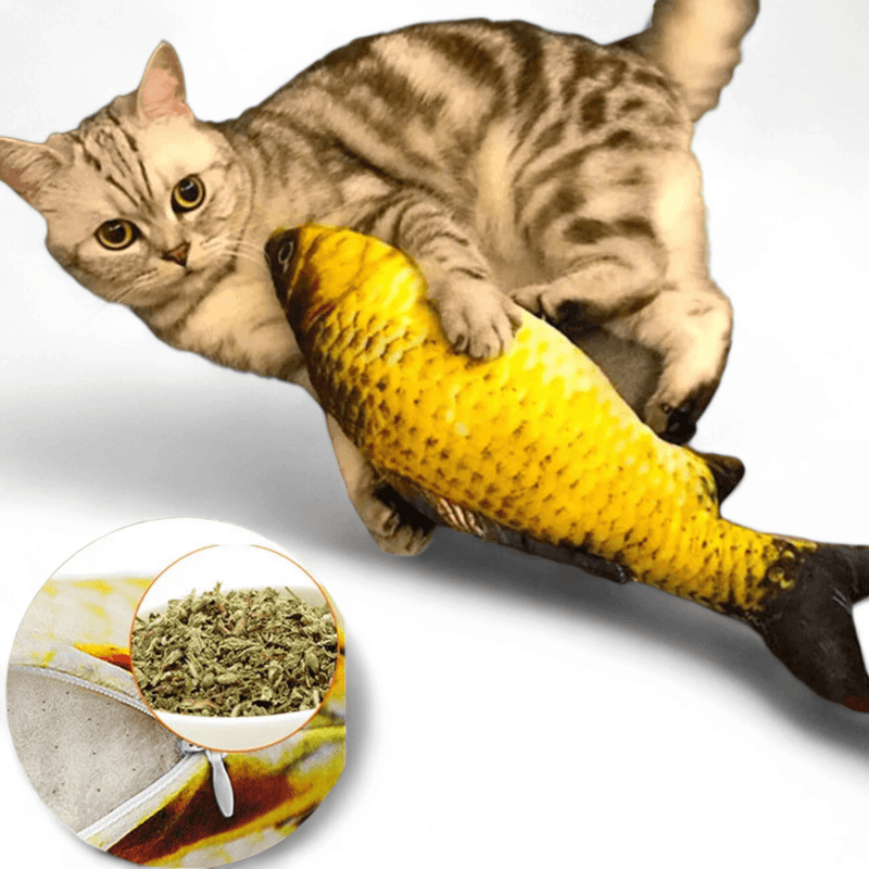 FishCat 3D Catnip