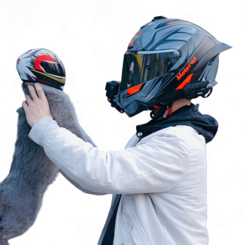 Capacete Safety para Pets