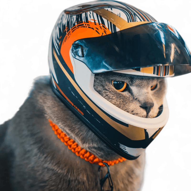 Capacete Safety para Pets