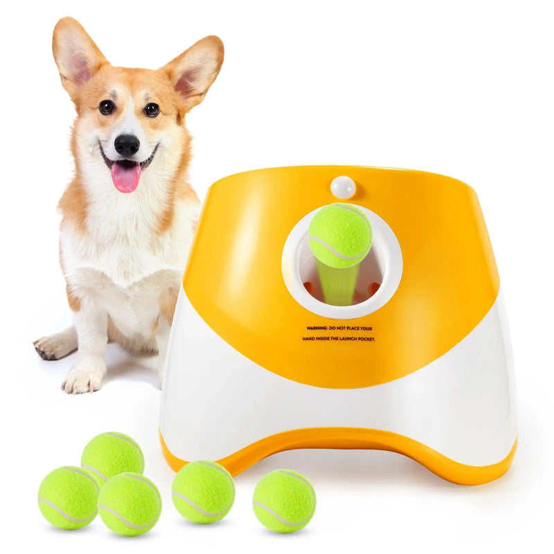 PetFun - Lançador de Tênis Automático