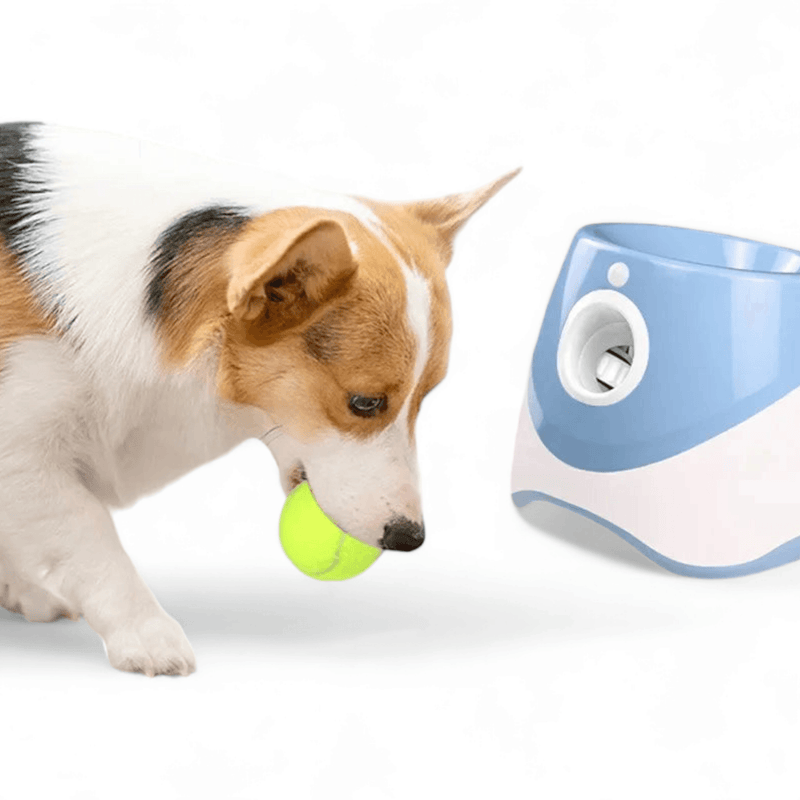 PetFun - Lançador de Tênis Automático